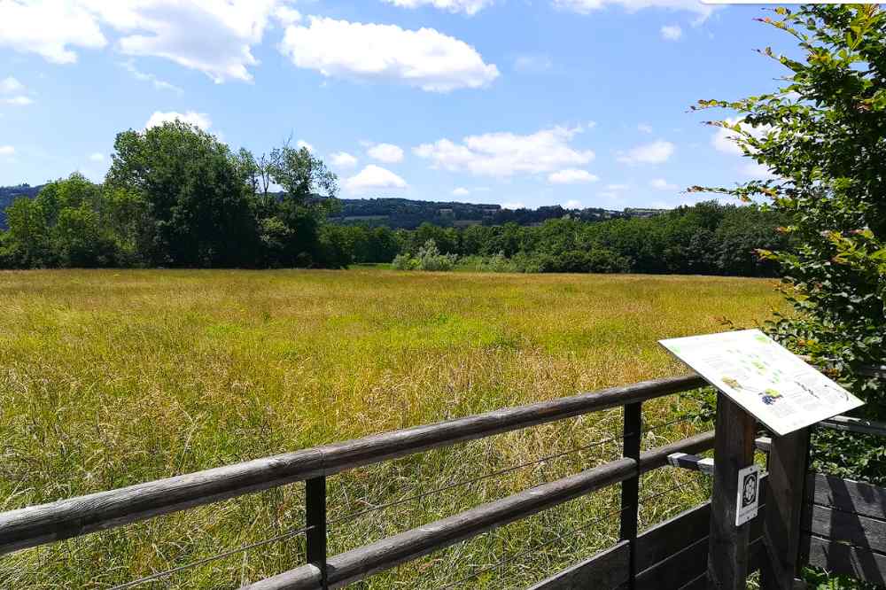Espace de la Verronière